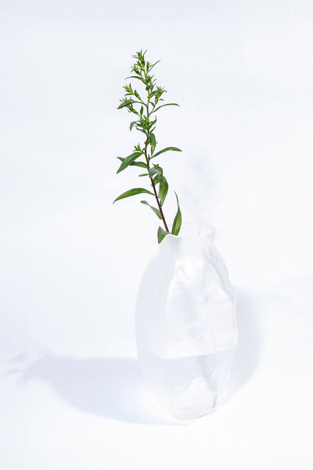 HalfVase - Clear
